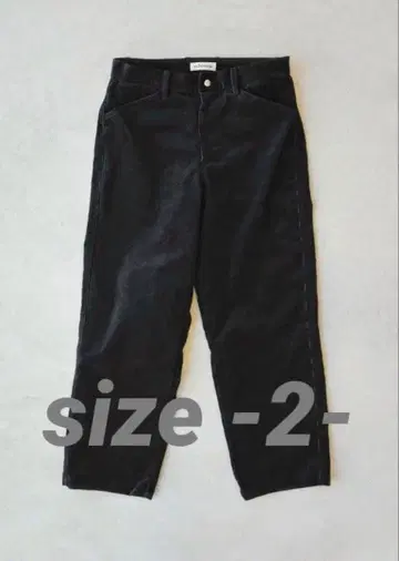 Echeveria Corduroy Torouthers OVY kaja