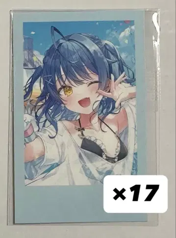 니지산지 아마미야 코코로 생일 굿즈 2025 폴라로이드풍 카드 17장