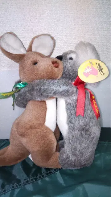 캥거루 & 코알라