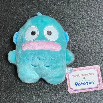 한교동 봉제 인형 포테탄 산리오 캐릭터즈