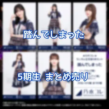 노기코레 밟아버렸다 5기생 노멀 컴프 묶음 판매