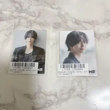 이케다 마사시 IKMS D상 마그넷 스티커