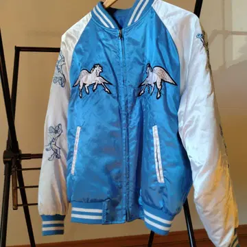 스카잔 천마 페가수스 스카이블루 x 화이트 레어 패턴