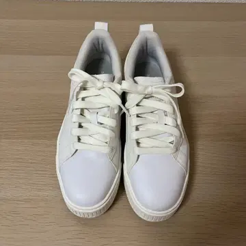 11/29~11/30 한정판 Puma 여성용 24.5cm 스니커즈