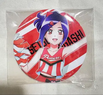 프리큐어 프로덕션 프리큐어 스포츠 히가시 세츠나