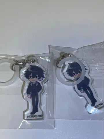 토겐앙키 오프샷 스타일 아크릴 참 요도가와 마스미