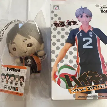 하이큐!! 스가와라 코시 피규어 봉제 인형