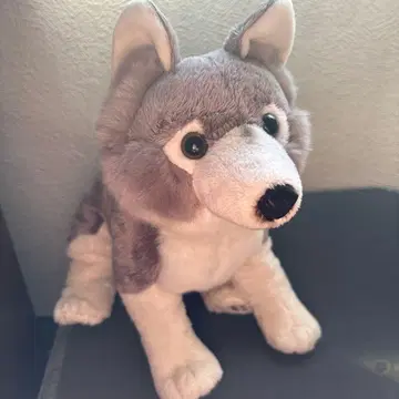 엔데인저드 애니멀즈 늑대 봉제 인형 친 COLORATA 택 포함