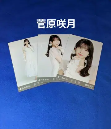 노기자카46 스가와라 사츠키 보도교 컴프