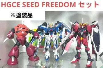 HGCE SEED FREEDOM 세트 페인팅 제품