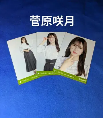 노기자카46 스가와라 사츠키 안경 코디 컴프