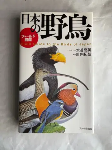 필드 도감 일본의 야생 조류