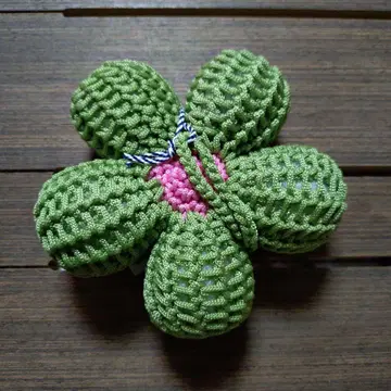 goodgoods 꽃 참 Snow Man