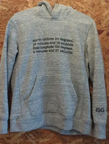 THE NORTH FACE 그레이 후드티 ISG