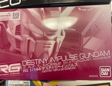 RG 데스티니 임펄스 건담