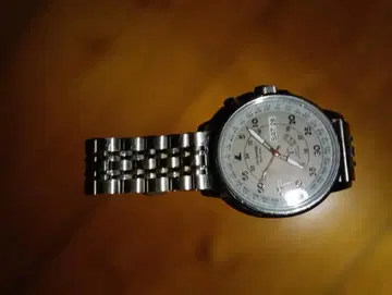 라드웨더 아날로그식 시계 스테인리스