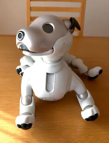 aibo 실버(ERS-1000) 본체만