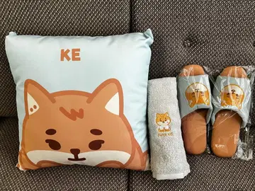 DAY6 영케이 YoungK KE 쿠션 슬리퍼 타월 데니멀즈