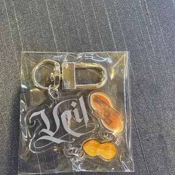 태민 고토치 치바