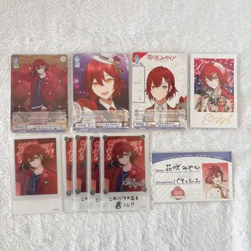 홀로스타즈 하나사키 미야비 카드 AGF