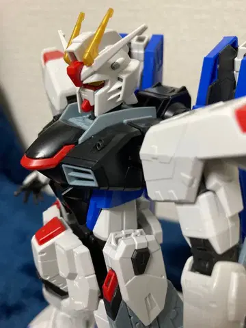 건담 프라모델 조립 완료 정크 풀 메카닉스 프리덤 건담