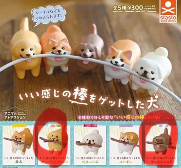 느낌 좋은 막대기를 겟한 개 닥스 3개 골든 리트리버 1개