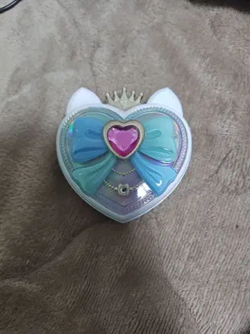 샤이니 캣츠 팩트