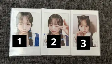 마스다 아야노 빙고 폴라로이드