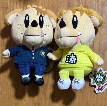 제네견 제네고 GENERATIONS 카타요세 료타 세트