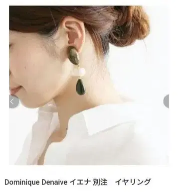 이에나 별주 Dominique Denaive 귀찌