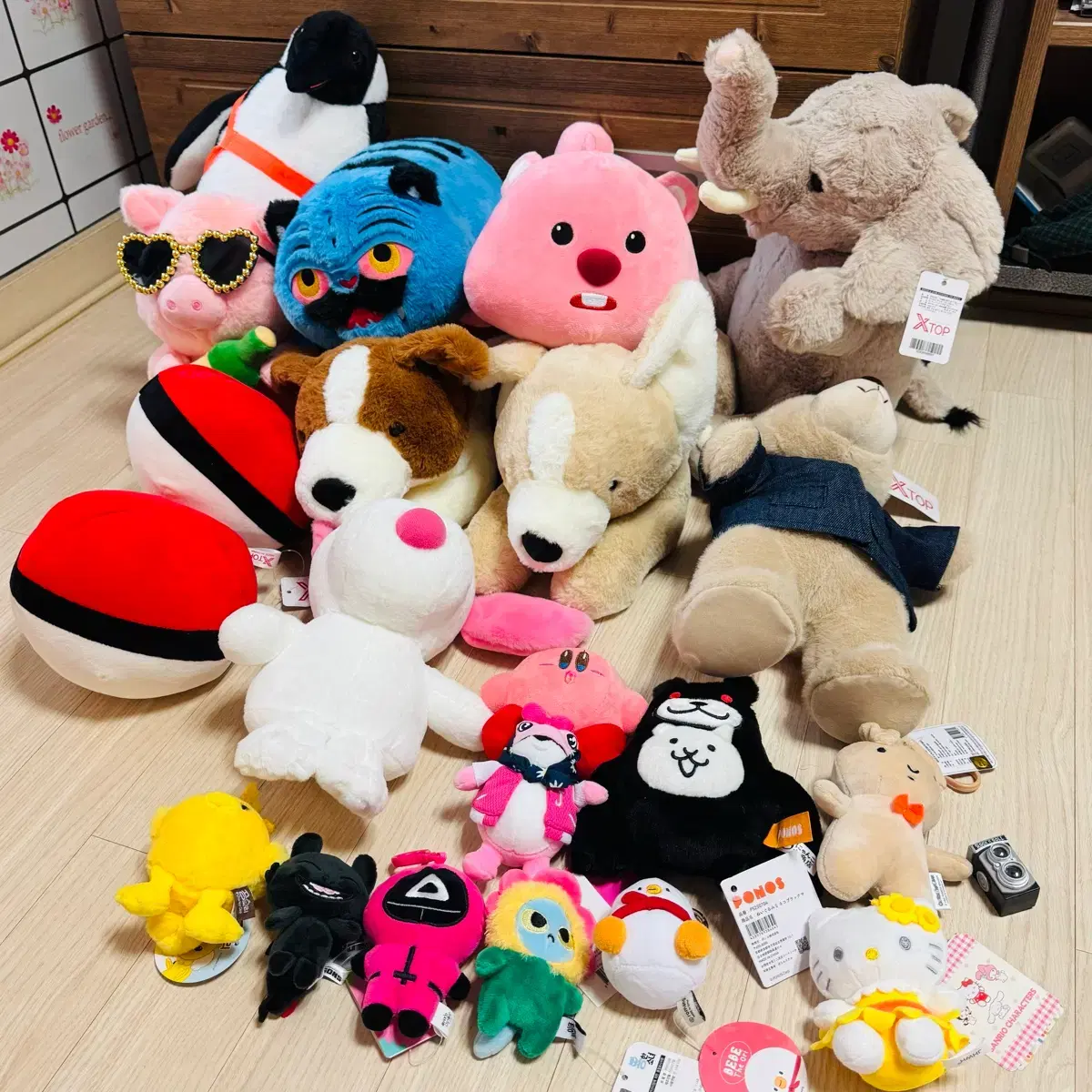 SS grade medium character doll bulk #피카츄,#이브이,#산리오,#오로라핑,#하츄핑 on Bunjang  Global Site.