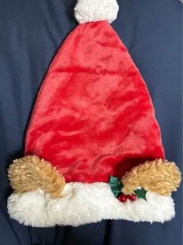 디즈니 더피 산타 모자 크리스마스