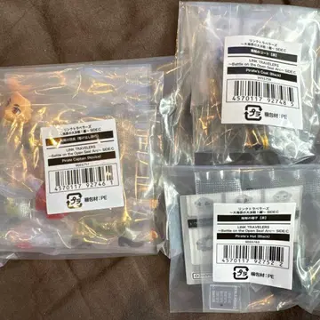 링크 트래블러스 ~대해원 대결전! 편~ SIDE:C 해적의 단장