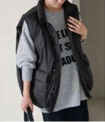 GOLDWIN 별주 PERTEX QUANTUM Down Vest 골드윈