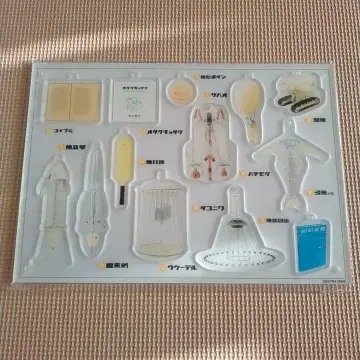 메이와 전기 어기 아크릴 키링 패널 B