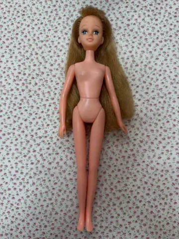 타카라 일본제 레이디리카 아야짱 2