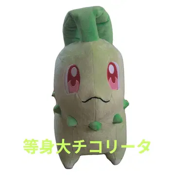 봉제 인형 등신대 치코리타
