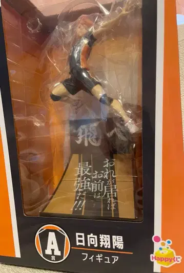 Happy 복권 하이큐 A상 히나타 쇼요