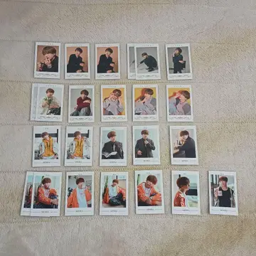 우라시마사카타센 센라 미니 포토 카드