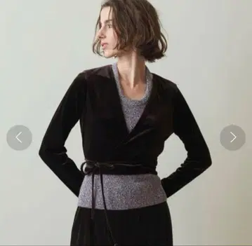 스티븐 앨런 벨로아 상의 브라운