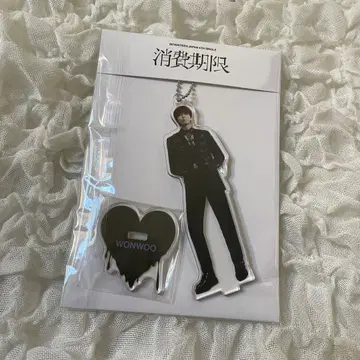 seventeen 세븐틴 소비기한 아크릴 스탠드 원우