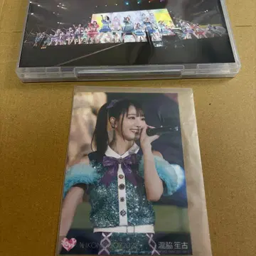 이코노이 조이 2022 TYPE C (2매 세트)