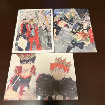 하이큐 엽서 히나타&카게야마 봄의 삼색 고양이 사카노시타 상점 앞 미개봉