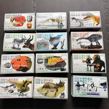 과박 소장품 재현 모델 세트