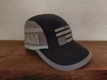 FALSE TEAM 캡 brooklyn basements