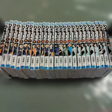 하이큐 25권 세트