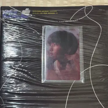 straykids LEVANTER 렌티큘러 한 지성