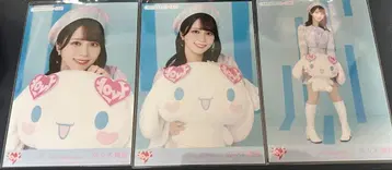 이콜럽 사사키 마이카 시나모롤 브로마이드 =LOVE 컴프 산리오 콜라보