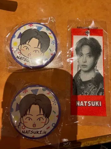 EXILE THE REASON 메지루시 택 캔뱃지 호리 나츠키