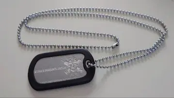 갤러리안즈 아쉬 도그택